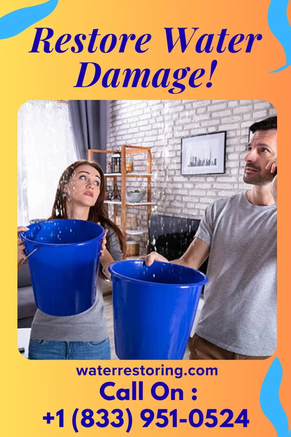 water restoration Premier Damage Restoration Partners Ebro