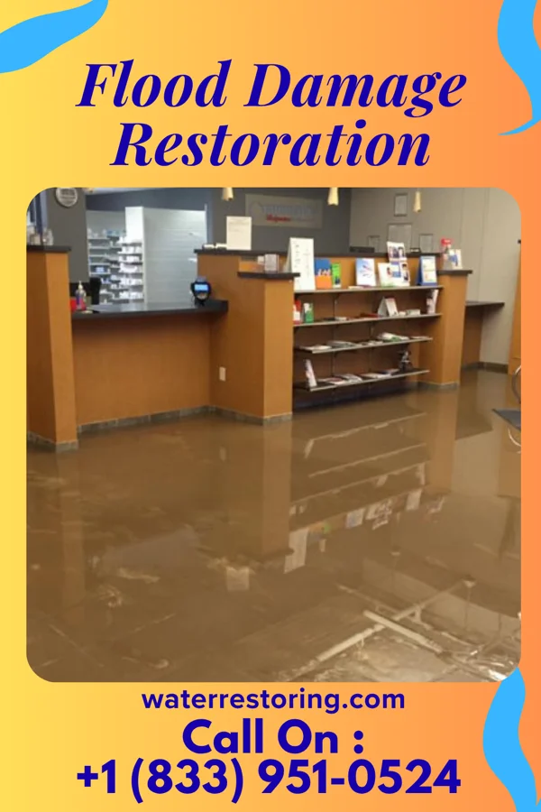 Flood Damage Restoration in Ebro, FL
