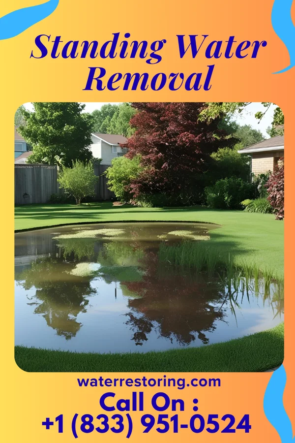 Standing Water Removal in Ebro, FL